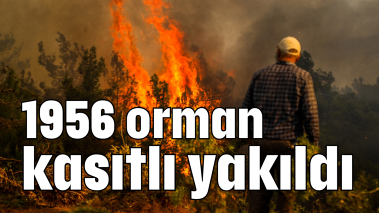 1956 orman kasıtlı yakıldı