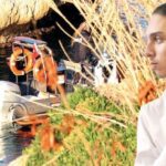 O falezlerde ne yaşandı