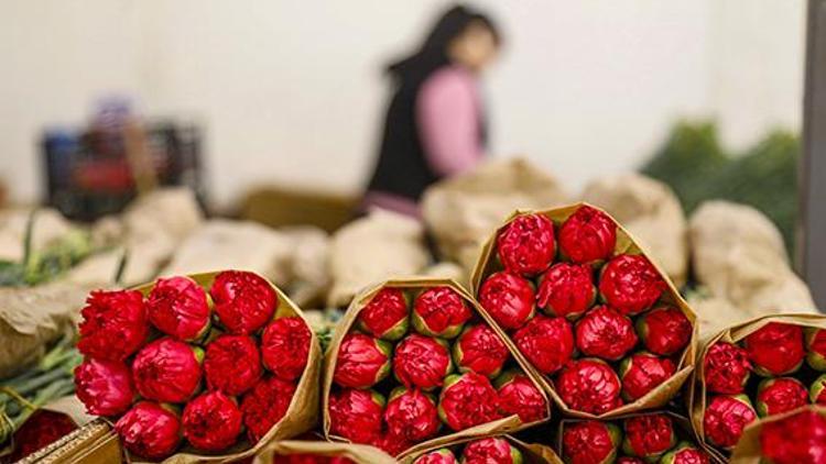 Sevgililer Günü için Antalya’dan 30 ülkeye çiçek ihracatı