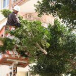 Cami bahçelerinde ramazan temizliği