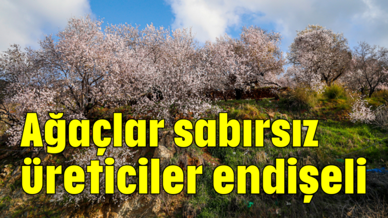 Ağaçlar sabırsız, üreticiler endişeli