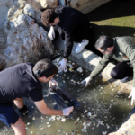 Alanyalı gençler, sahil temizliği etkinliği düzenledi