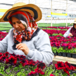 Antalya caddeleri bahar aylarında rengarenk olacak