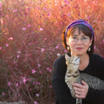 Antalya, özgün müziğin ustası İlkay Akkaya konseri ile buluşuyor