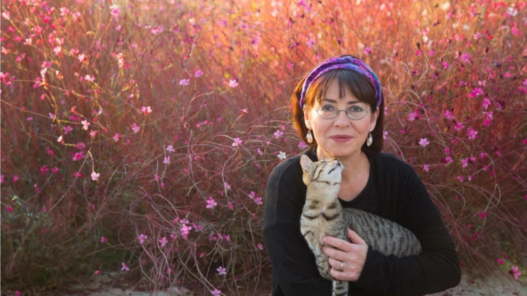 Antalya, özgün müziğin ustası İlkay Akkaya konseri ile buluşuyor