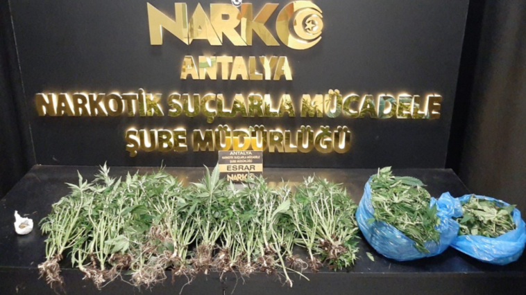 Antalya'da bir haftada 25 zehir taciri yakalandı