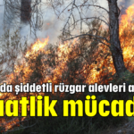 Antalya'da şiddetli rüzgar alevleri arttırıyor 5 saatlik mücadele