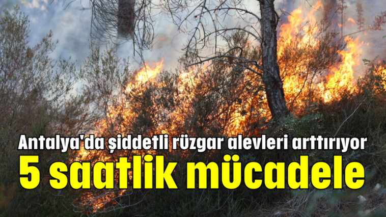 Antalya'da şiddetli rüzgar alevleri arttırıyor 5 saatlik mücadele