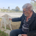 Ben nereye Koruma oraya!