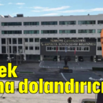 Böcek adına dolandırıcılık!