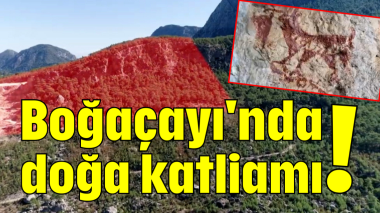 Boğaçayı'nda doğa katliamı!
