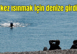 Bu kez ısınmak için denize girdiler
