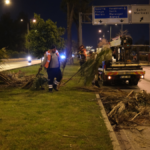Büyükşehir’den gece budama çalışması