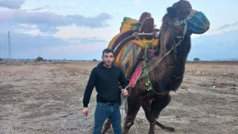 Deve için cinayet işlendi