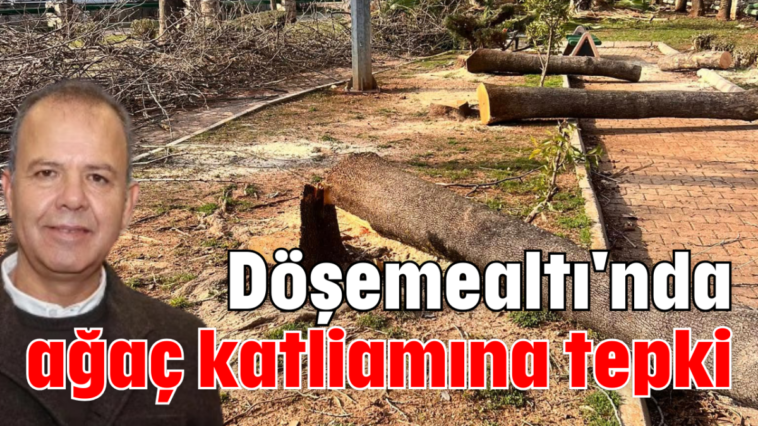 Döşemealtı'nda ağaç katliamına tepki
