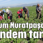 Forum Muratpaşa'da gündem tarım