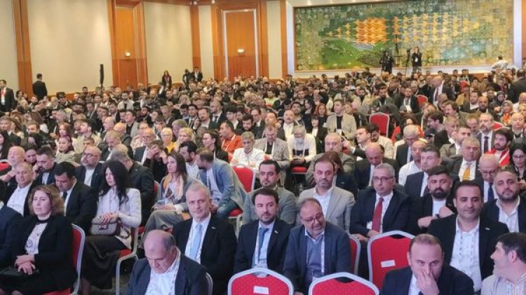 image_750x_67b3559a96274-1