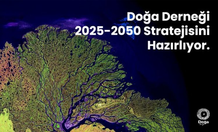 DOĞA DERNEĞİ, ORTAKLARIYLA BİRLİKTE 2025-2050 STRATEJİSİNİ HAZIRLIYOR