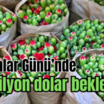 Kadınlar Günü'nde 10 milyon dolar beklentisi