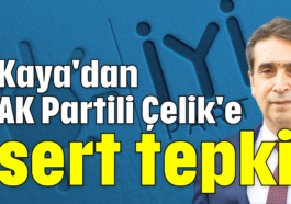 Kaya'dan AK Partili Çelik'e sert tepki