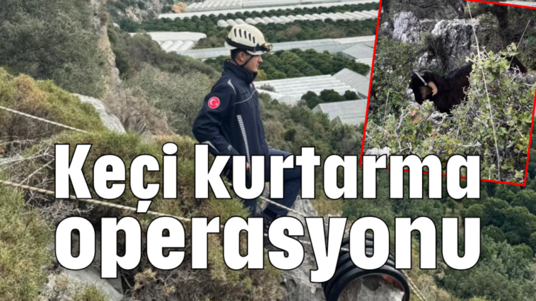 Keçi kurtarma operasyonu