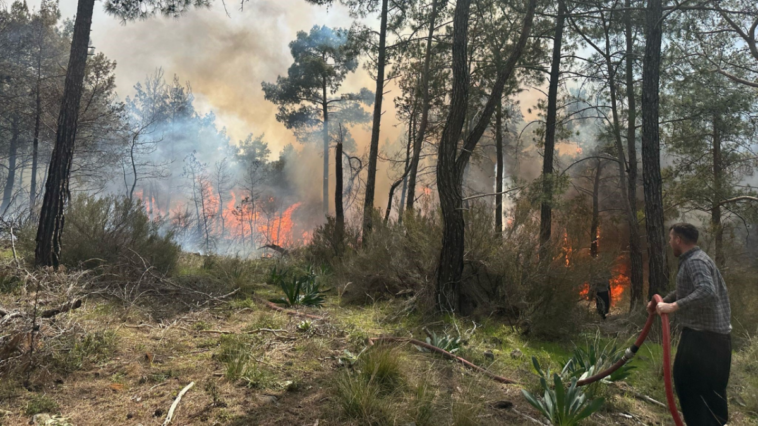 Kemer'de orman yangını çıktı