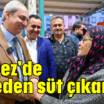 'Kepez'de tekeden süt çıkardık'