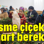 Kesme çiçekte 8 Mart bereketi