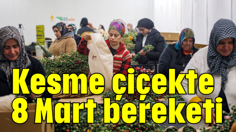 Kesme çiçekte 8 Mart bereketi