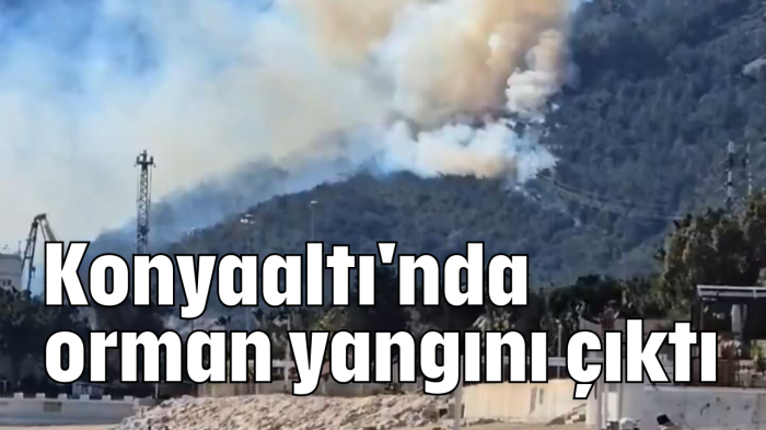 Konyaaltı'nda orman yangını çıktı