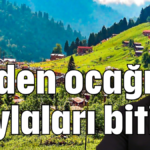 Maden ocağı yaylaları bitirir
