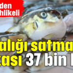 O balığı satmanın cezası 37 bin lira