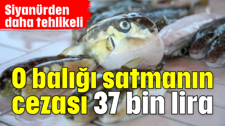 O balığı satmanın cezası 37 bin lira