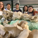 Özel öğrenciler mantar hasadı yaptı