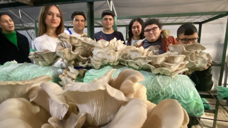 Özel öğrenciler mantar hasadı yaptı