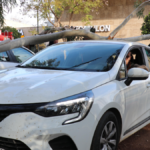 Rüzgarın etkisiyle düşen ağaç otomobillerde hasara yol açtı