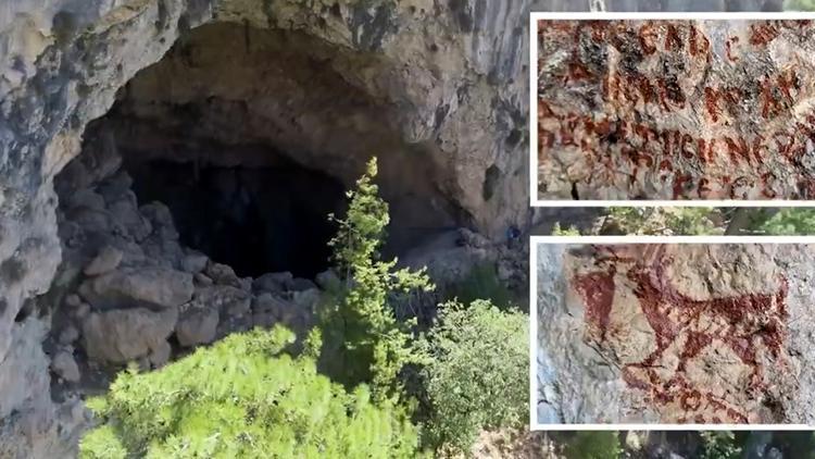 Kalker ocağından kaçak ağaç kesimi İçişleri Bakanlığı inceleme başlattı