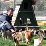 Sahipsiz canlar bayramda ziyaretçilerini bekliyor