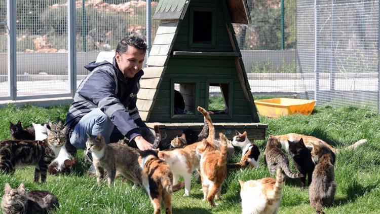 Sahipsiz canlar bayramda ziyaretçilerini bekliyor