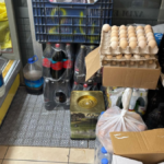 Alanya'da hijyen kurallarına uymayan işletme kapatıldı