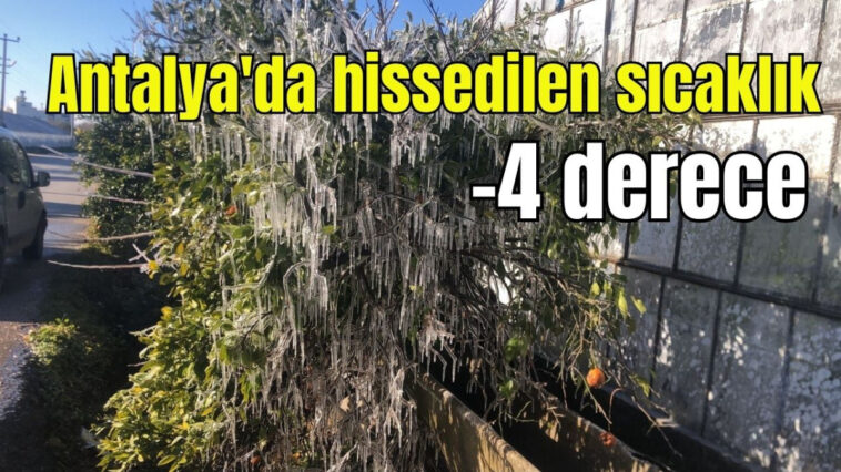 Antalya'da hissedilen sıcaklık -4 derece