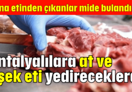 Antalyalılara at ve eşek eti yedireceklerdi