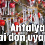 Antalya'ya zirai don uyarısı