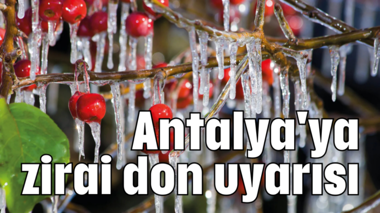 Antalya'ya zirai don uyarısı