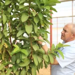 Başkan Özçelik: Seramız tarımsal turizm ve eğitimine katkı sağlayacak"