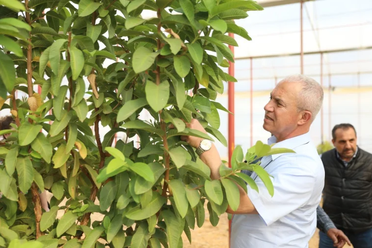 Başkan Özçelik: Seramız tarımsal turizm ve eğitimine katkı sağlayacak"