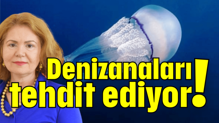 Denizanaları tehdit ediyor!