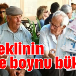 Emeklinin yine boynu bükük