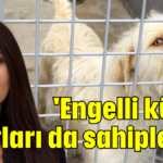 'Engelli küçük dostları da sahiplenin'