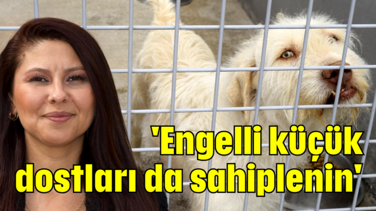 'Engelli küçük dostları da sahiplenin'